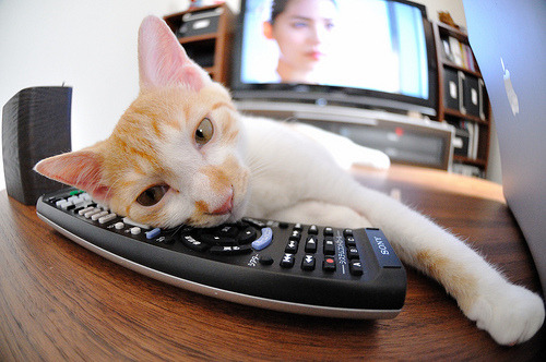 _极速冲浪:人工波浪场馆引领新潮流_,网上冲浪速度