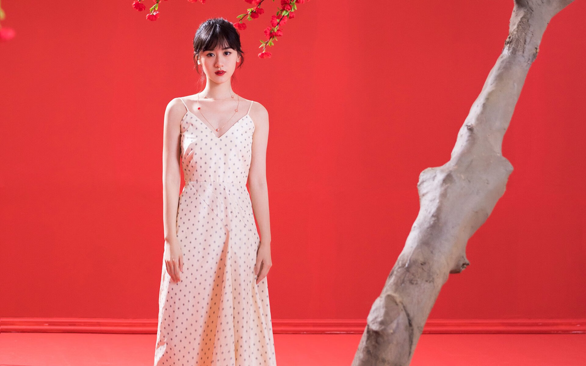 “速度之魂”——冠军车手的血性与荣耀,速度之星