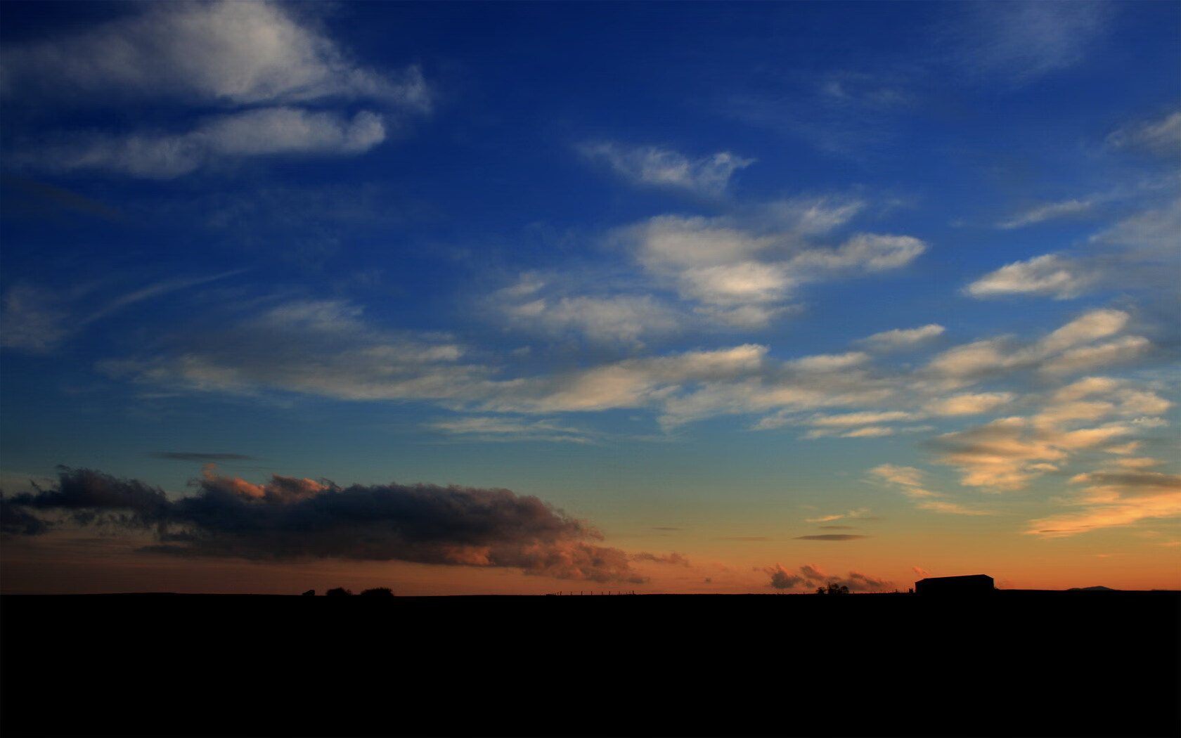 “黑马崛起：最令人惊喜的球队成长记”，黑马涌现