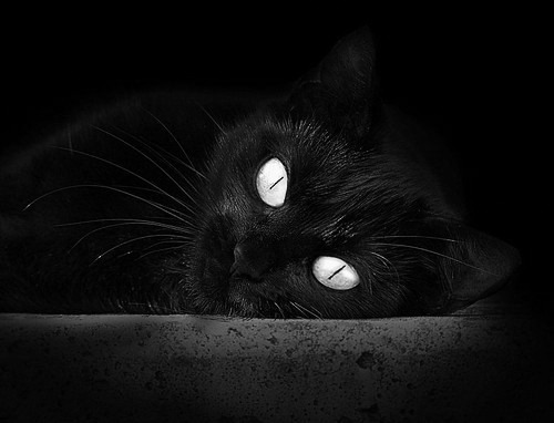 《DOTA2》赛事观众年龄分布:年轻观众的电竞热情与消费潜力,dota2人数2021