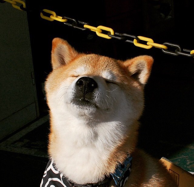 《跨国战队交流日:跨文化合作推动电竞全球化》,跨越电竞