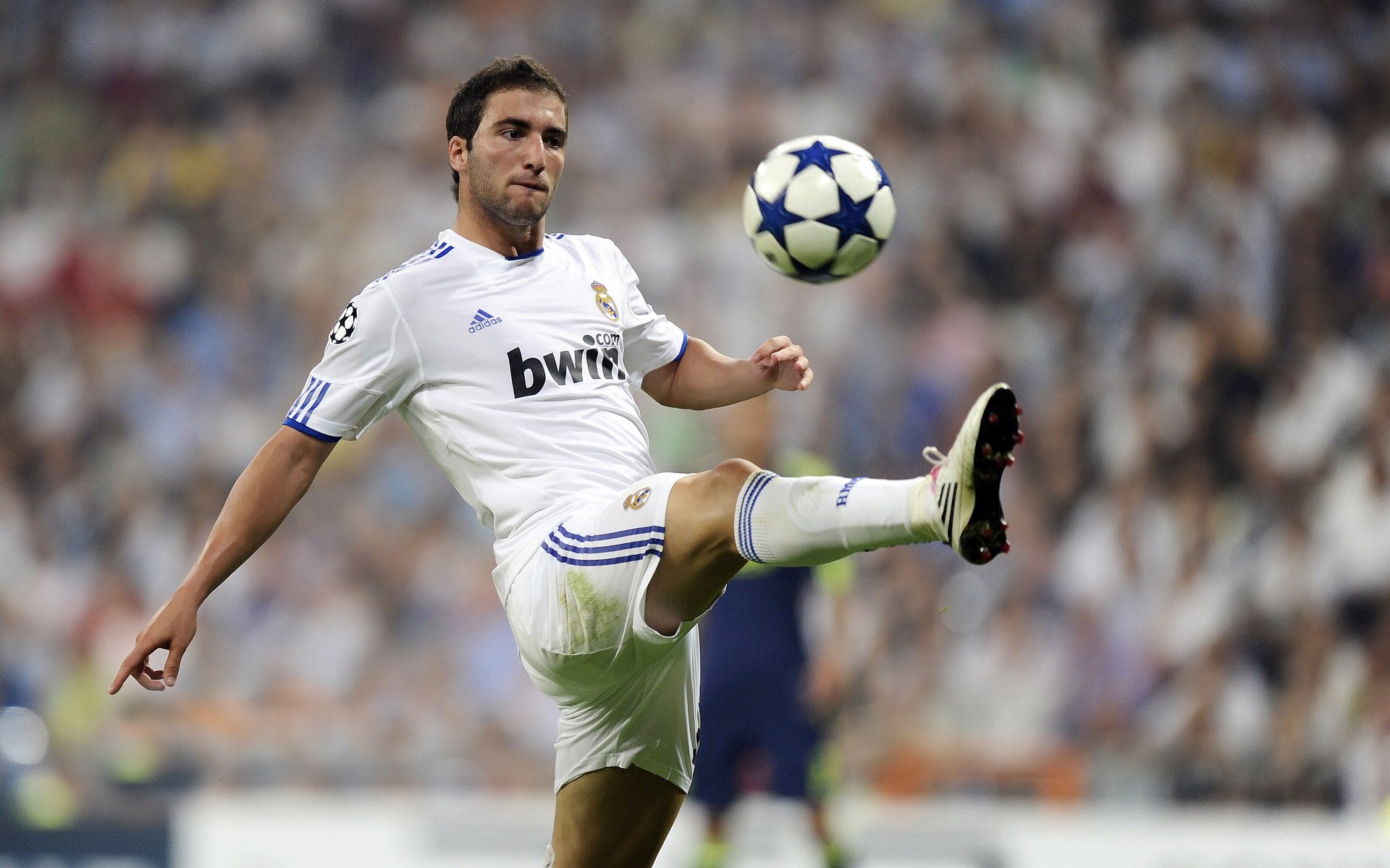 艾比·德尔福:全面防守和进攻支援,南非队不容忽视的核心,艾德和比尔的故事